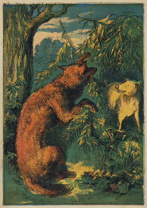 The House of Furze (farve litho) af English School