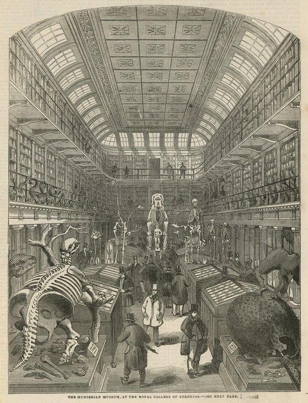 Hunterian Museum ved Royal College of Surgeons af English School