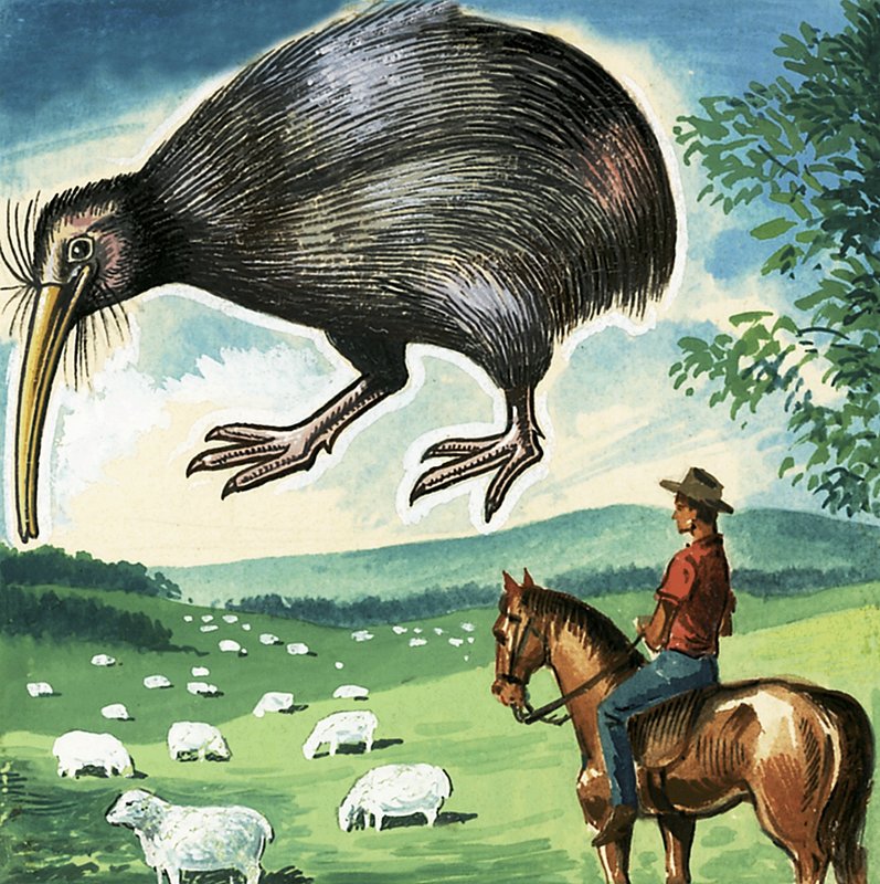 Kiwi, New Zealands emblem af English School