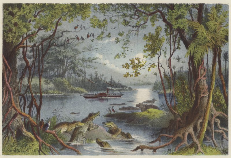 The Ma-Robert on the river Zambesi  af English School