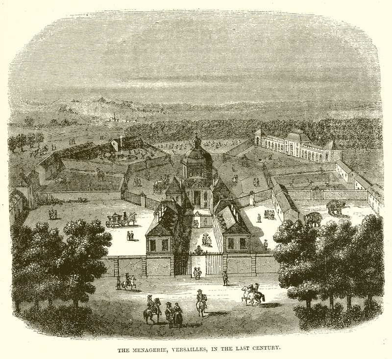 Menageriet, Versailles, i det sidste århundrede af English School