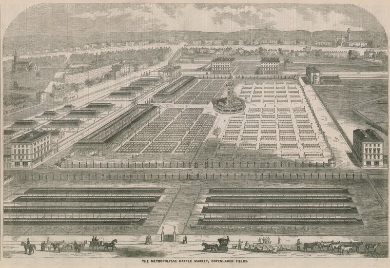 The Metropolitan Cattle Market, Copenhagen Fields, London af English School