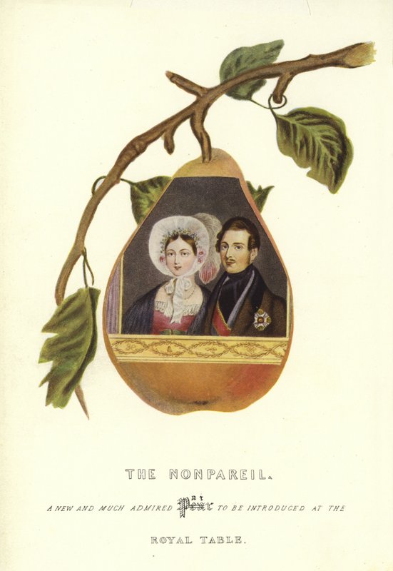 The Nonpareil med portrætter af dronning Victoria og prins Albert af English School