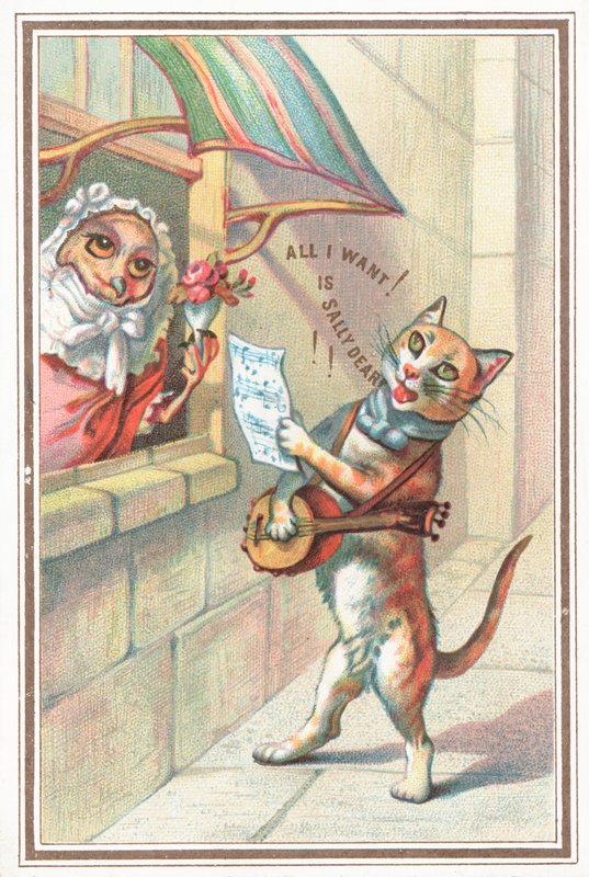 Uglen og Pussycat af English School