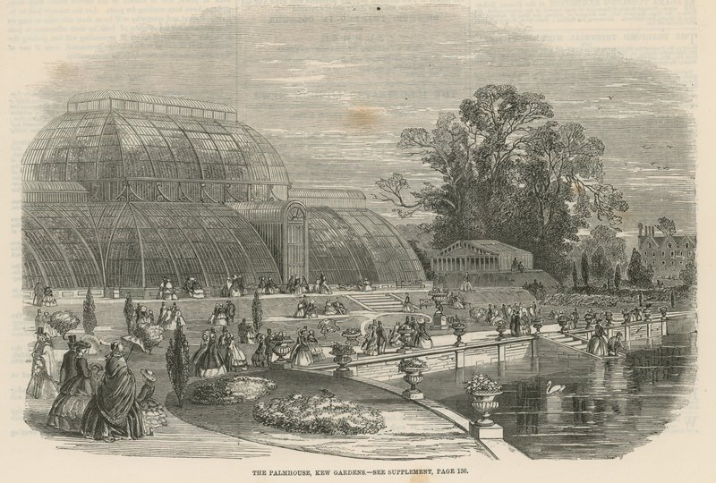 The Palm House, Kew Gardens, London af English School