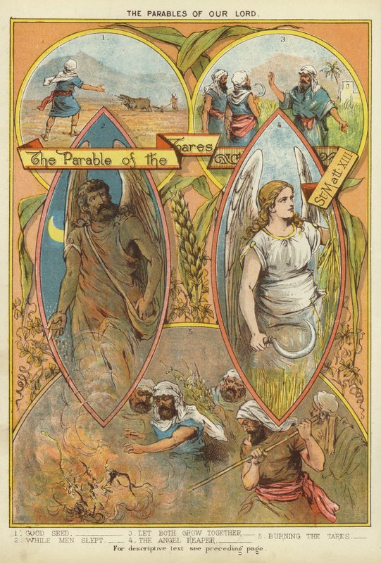 Kristi lignelser: lignelsen om ukrudtet (chromolitho) af English School