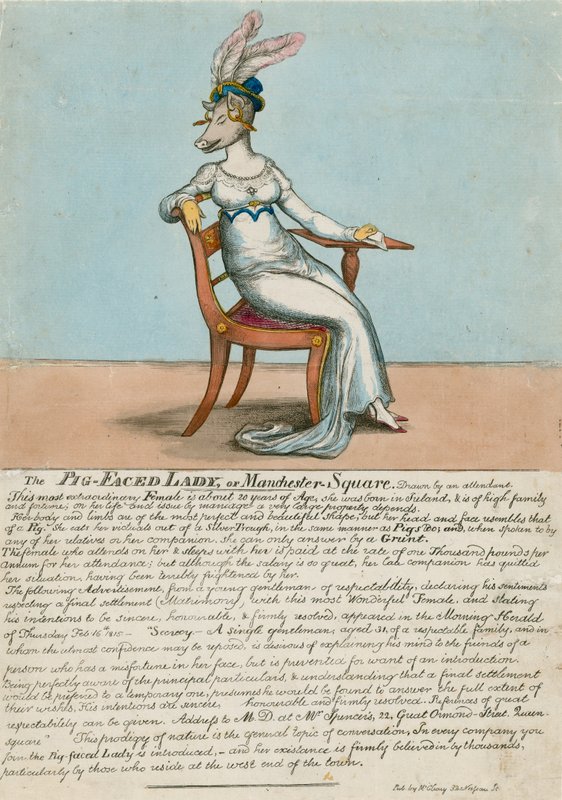 The Pig-Faced Lady of Manchester Square, London af English School