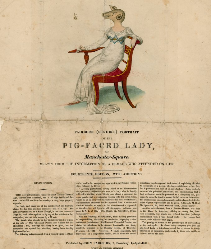 The Pig-Faced Lady of Manchester Square, London af English School