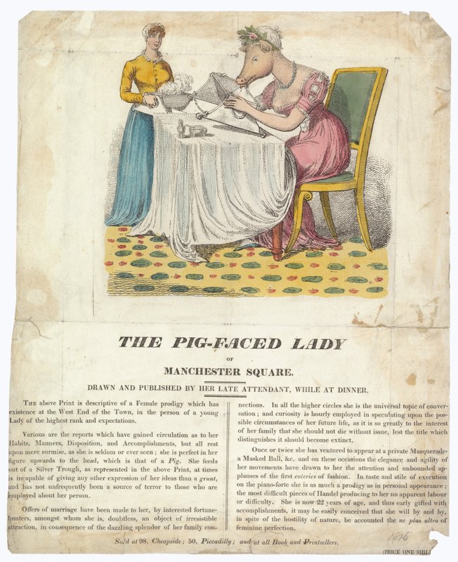 The Pig-faced Lady of Manchester Square af English School