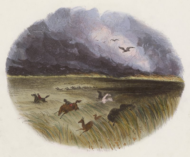 The Prairie on Fire (farvet gravering) af English School