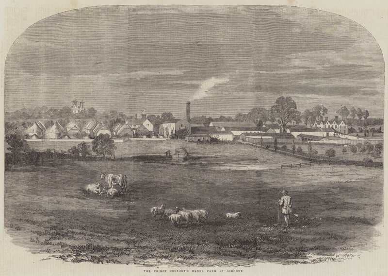 Prinsgemalens modelgård i Osborne (gravering) af English School