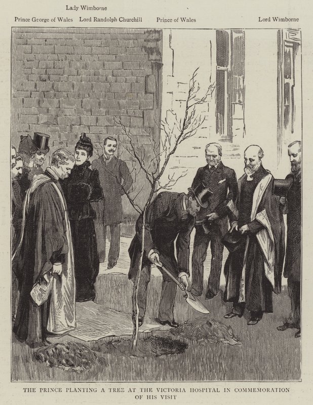 Prinsen planter et træ på Victoria Hospital til minde om hans besøg (gravering) af English School