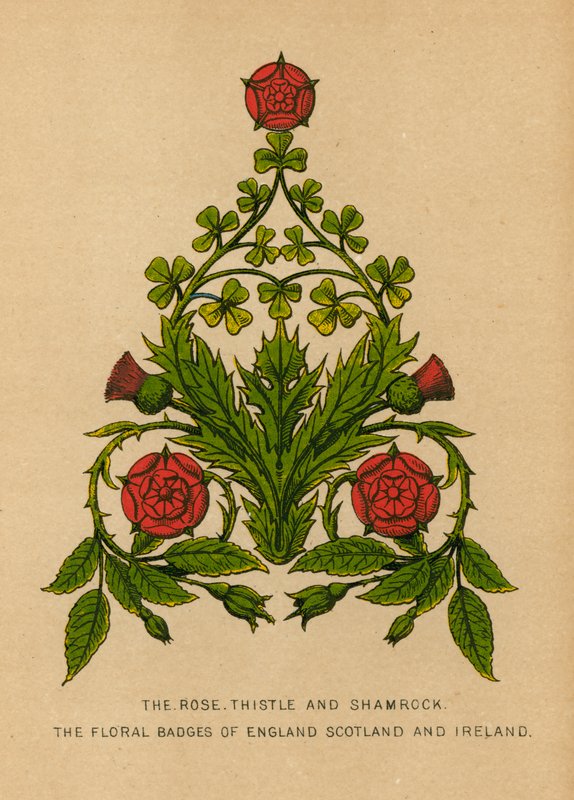 Rosen, Thistle og Shamrock. Blomstermærkerne i England, Skotland og Irland af English School