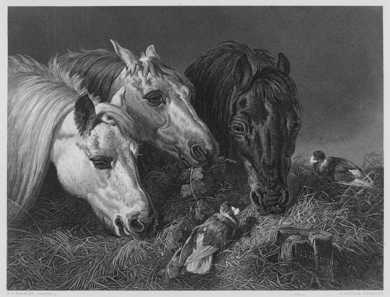 The Scanty Meal, fra billedet i Vernon Gallery af English School