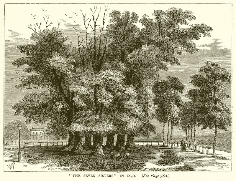 De syv søstre i 1830 af English School