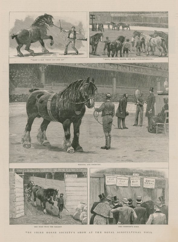 Shire Horse Society show i Royal Agricultural Hall af English School