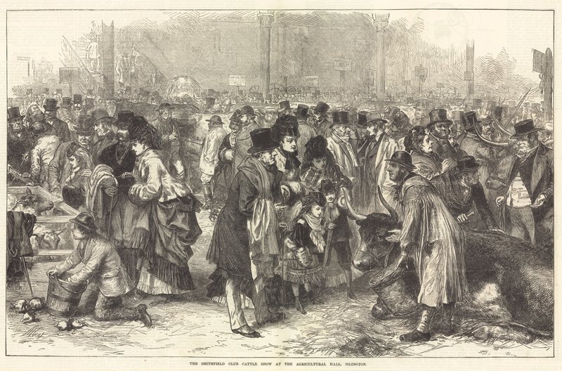 Smithfield Club Cattle Show i Agricultural Hall, Islington af English School