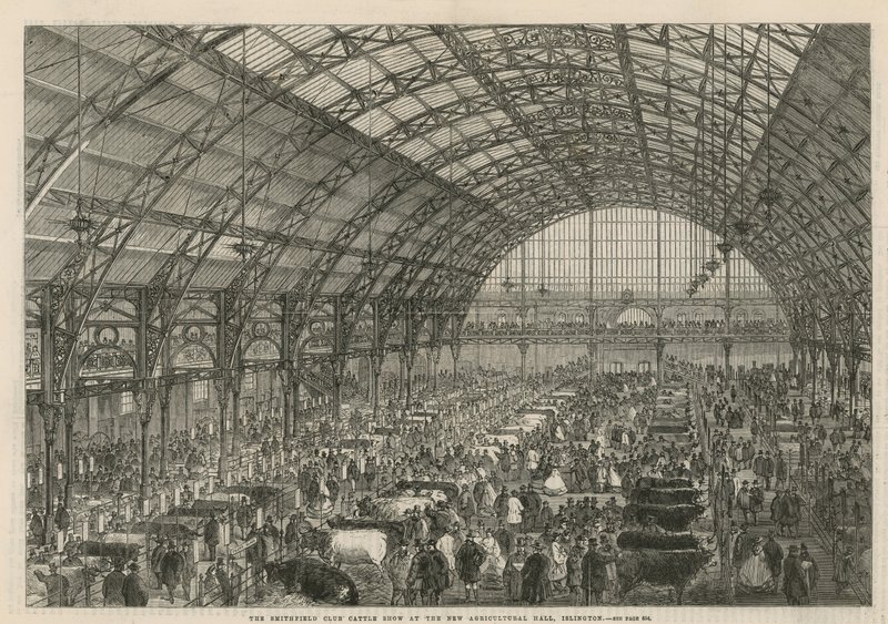 Smithfield Club Cattle Show i den nye landbrugshal af English School