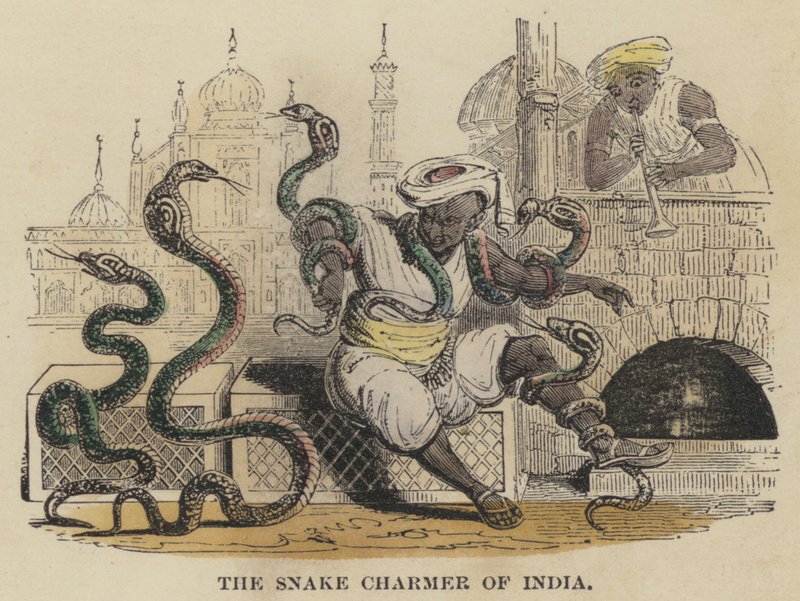 The Snake Charmer of India (farvet indgravering) af English School