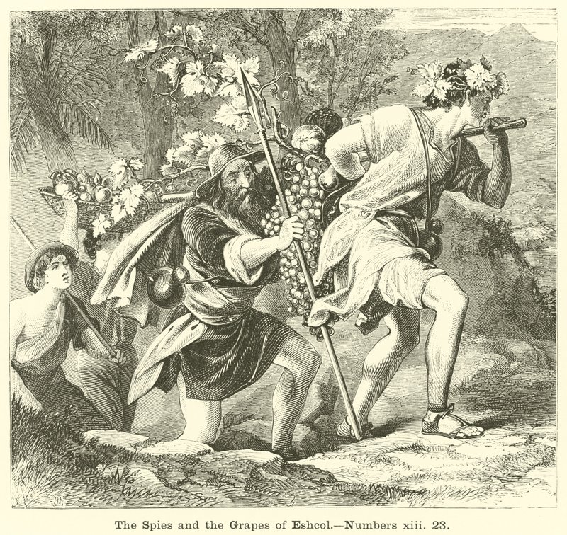 The Spies and the Grapes of Eshcol, Numbers, xiii, 23 af English School