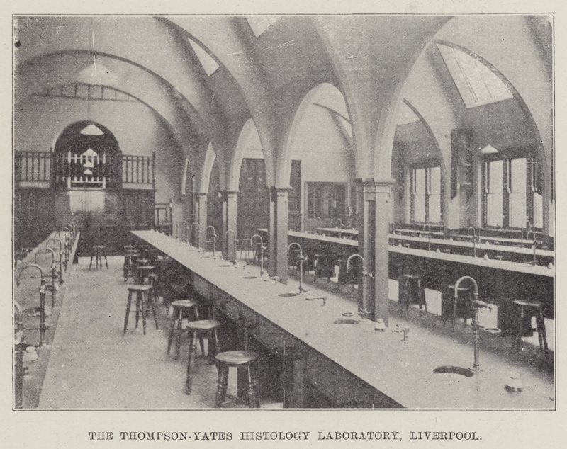 Thompson-Yates Histology Laboratory, Liverpool (gravering) af English School
