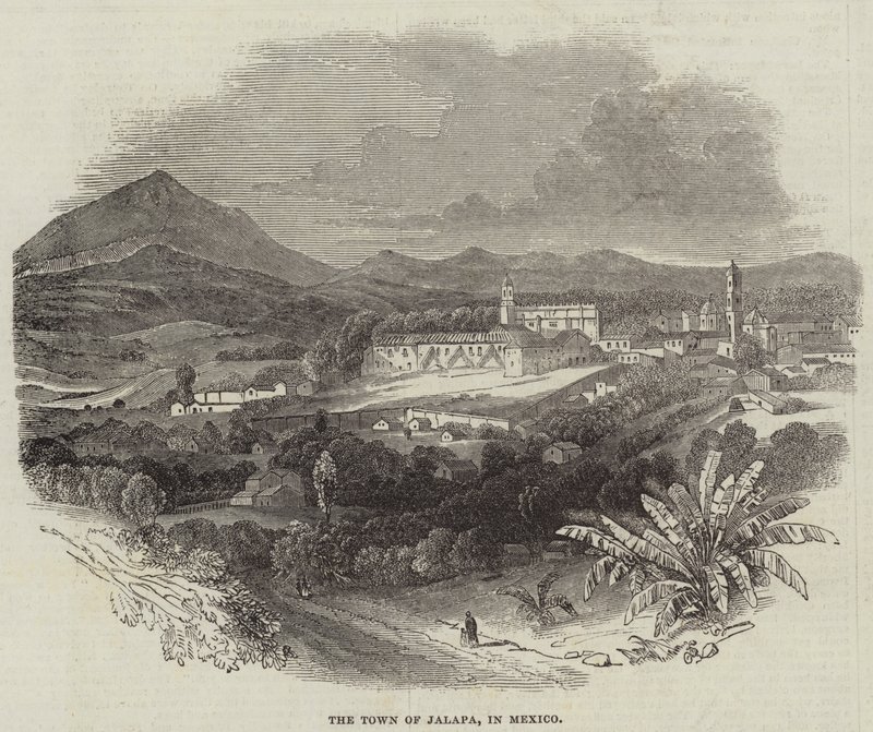 Byen Jalapa, i Mexico (gravering) af English School