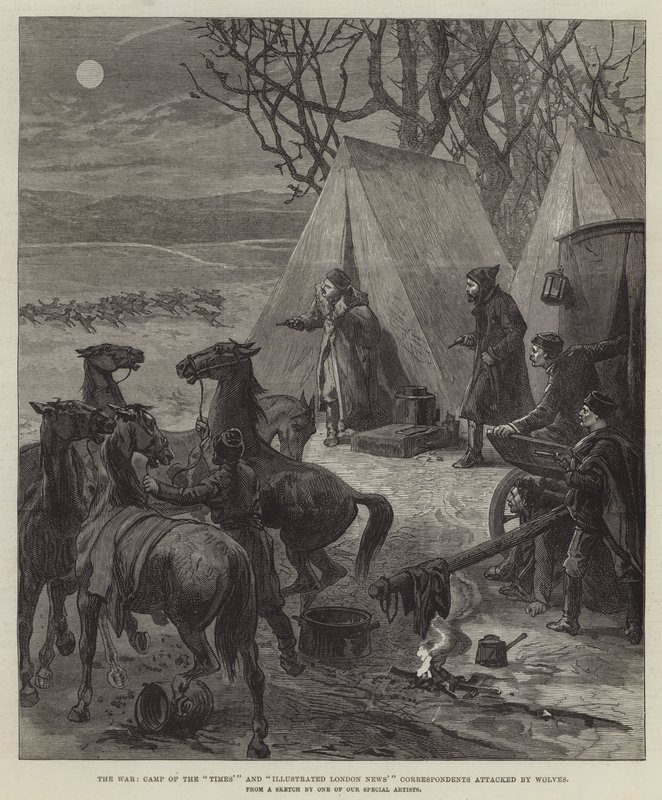 The War, Camp of the "Times" og "Illustrated London News" Korrespondenter angrebet af ulve (gravering) af English School