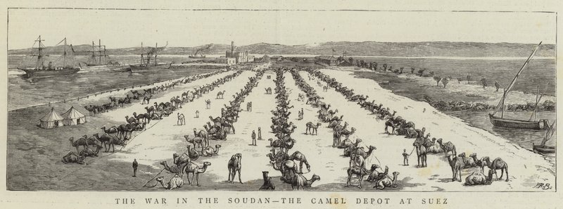 Krigen i Soudan, kameldepotet i Suez (gravering) af English School