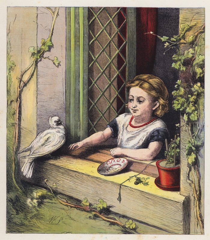Den hvide due (farvelitografi) af English School