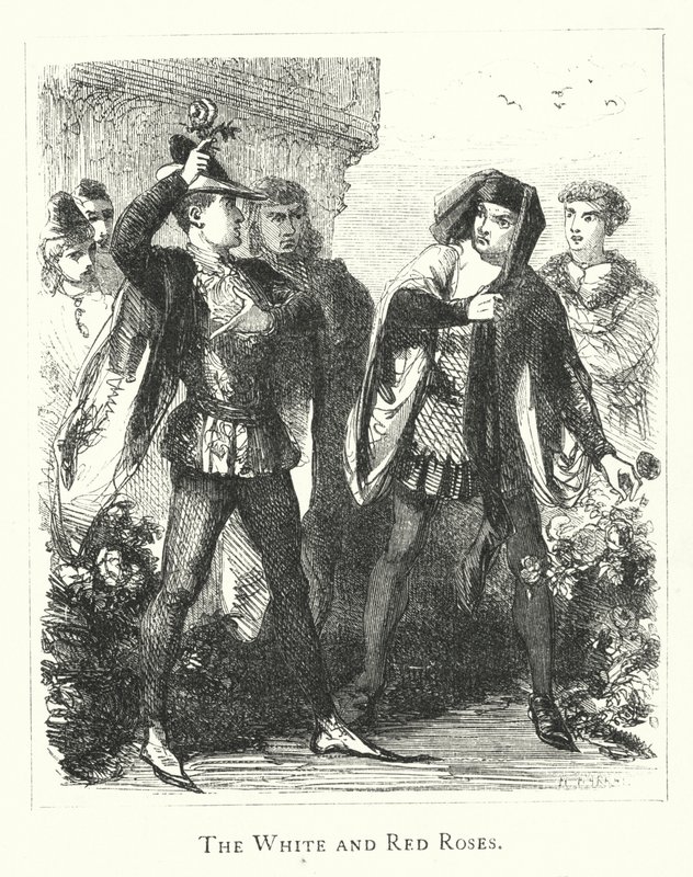 De hvide og røde roser (gravering) af English School