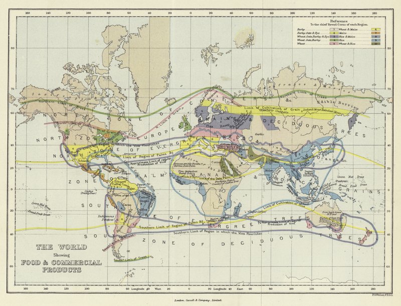 The World Showing Food and Commercial Products  af English School