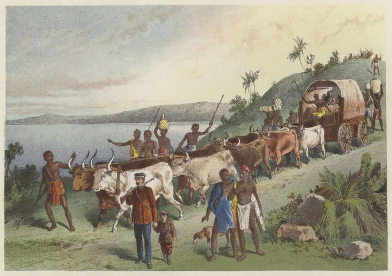 The arrival at Lake Ngami  af English School
