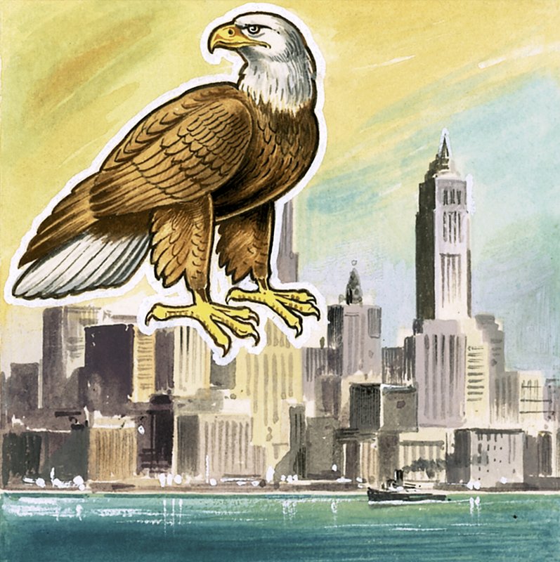 Den skaldede ørn, emblem for USA af English School