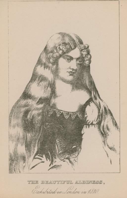 Den smukke albiness, udstillet i London i 1810 af English School
