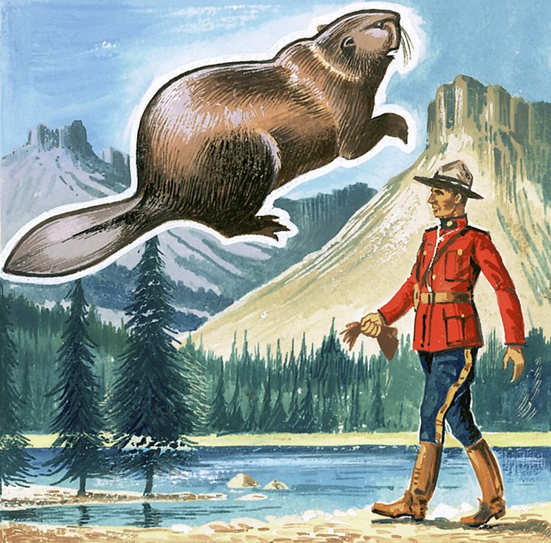 Bæveren, Canadas emblem af English School