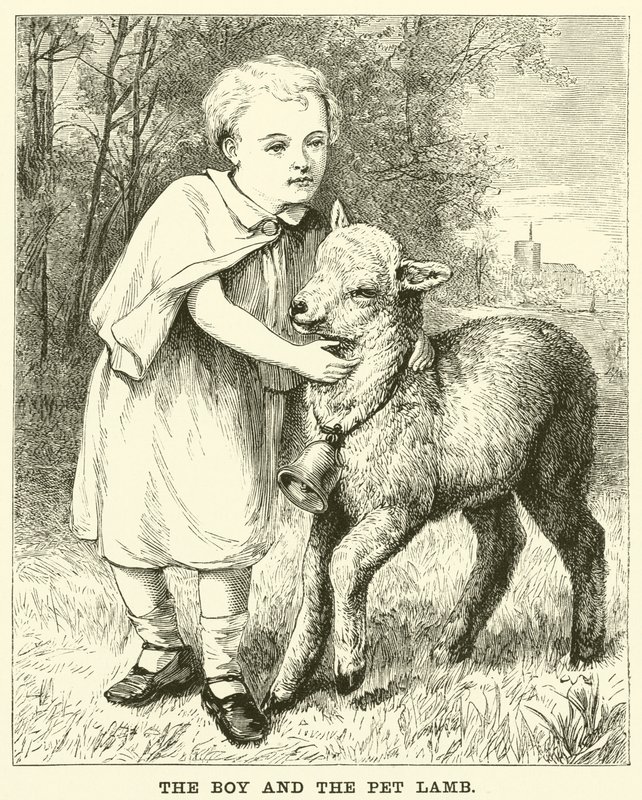 Drengen og kæledyrslammet (gravering) af English School
