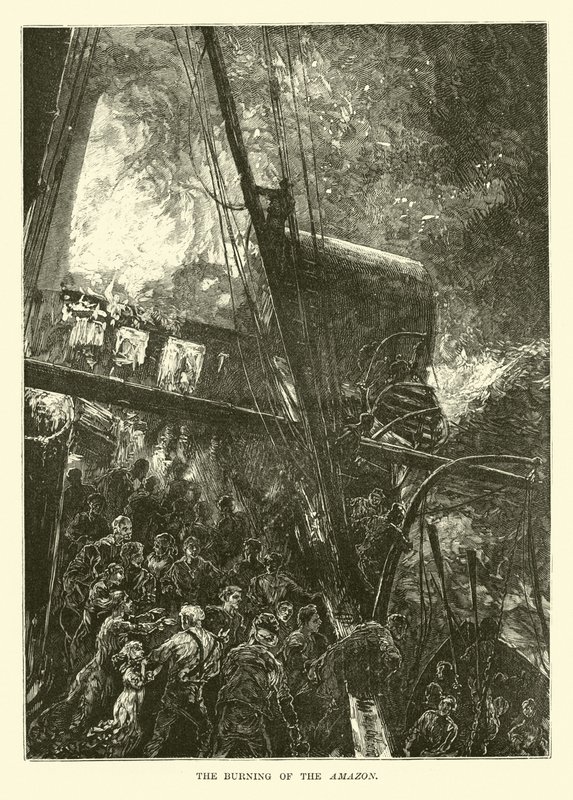 Afbrændingen af Amazonas af English School