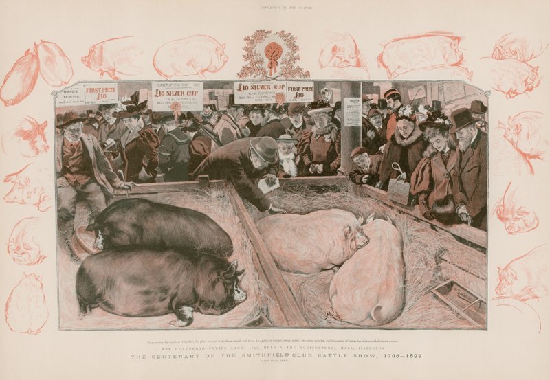 Hundredåret for Smithfield Club Cattle Show af English School