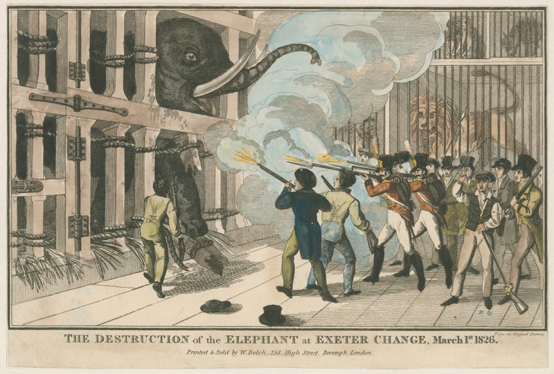 Ødelæggelsen af elefanten ved Exeter Change, 1. marts 1826 af English School
