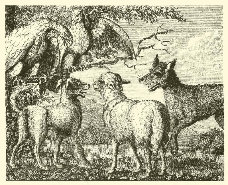 Hunden og fåret (gravering) af English School