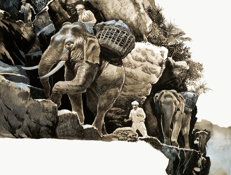 Elephant Bills elefantvandring af English School