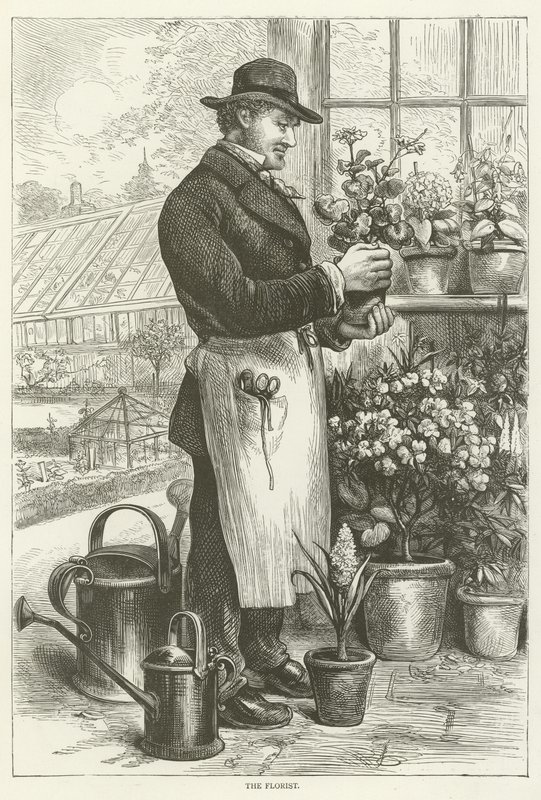 The florist  af English School