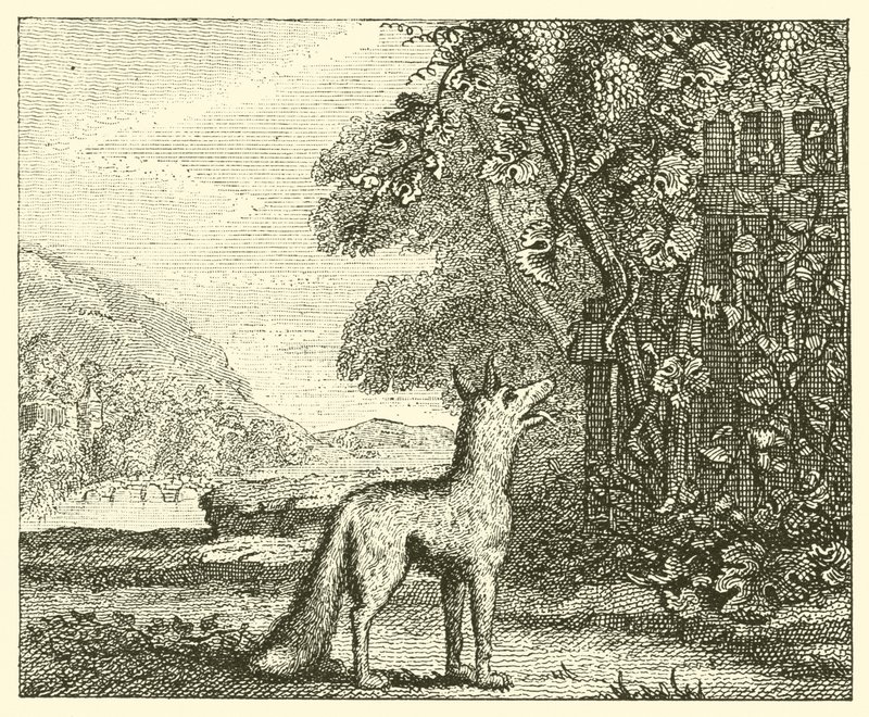 Ræven og druerne (gravering) af English School