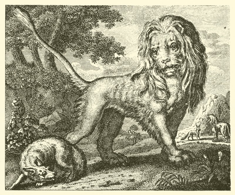 Ræven og løven (kobberstik) af English School