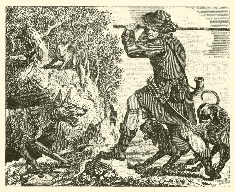 Ræven og ulven (kobberstik) af English School