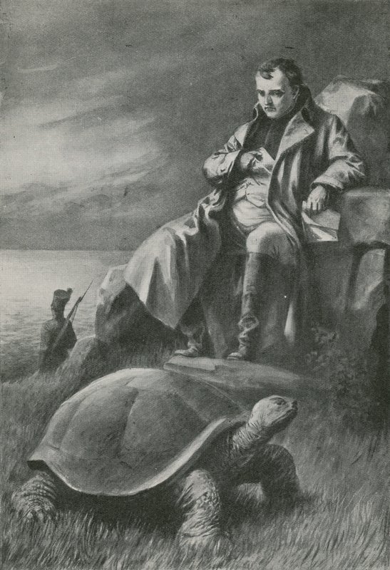 Den kæmpe skildpadde, der så Napoleon af English School