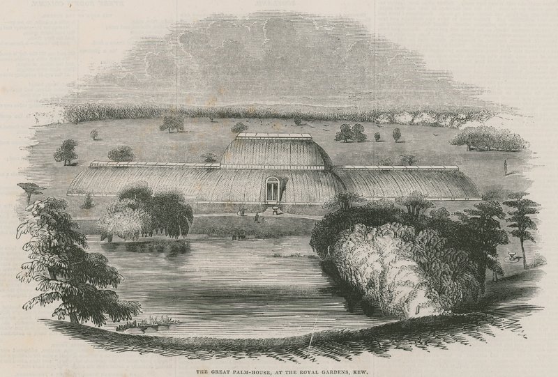 Det store Palm House ved Royal Gardens, Kew, London af English School