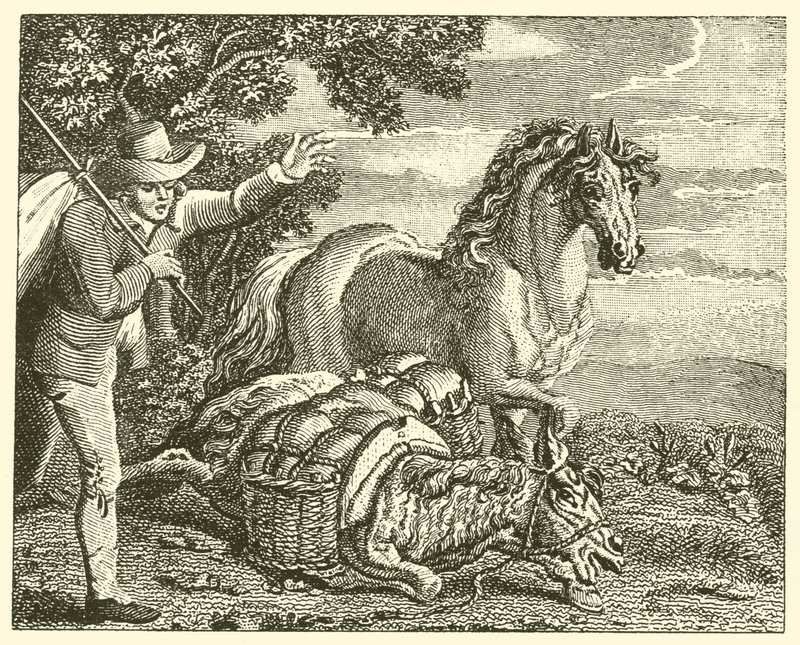 Hesten og det belæssede æsel (gravering) af English School