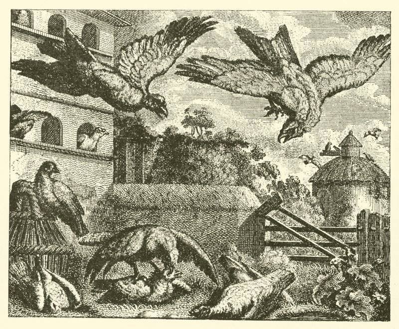 Dragen og duerne (kobberstik) af English School