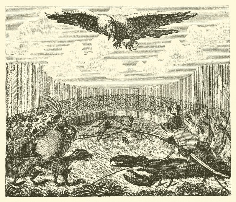 Dragen, frøen og musen (kobberstik) af English School